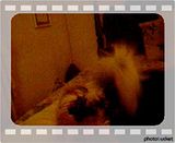 Lady Holly and Lord Harley Talking
